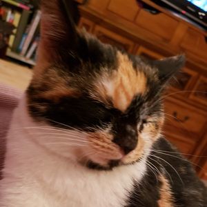 Meet your Posher, Peggy